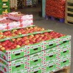 Sajam domaće jabuke i meda na veletržnici Rijeka/Matulji